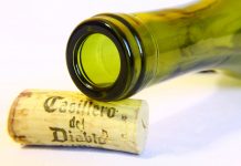 Играли как пустая бутылка, или Роберт Левандовски спасает Нико Ковача: мюнхенская «Бавария» одержала рабочую победу над афинским АЕК