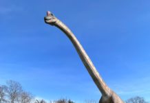 Только у нас и только сейчас. Берлинский парк Юрского периода